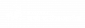 logo of muskoka animal hospital in huntsville ontario